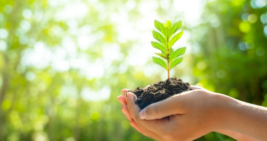People embrace eco-friendly travel