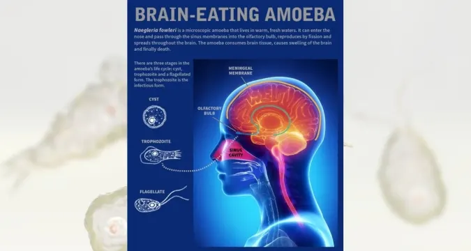 Awareness poster about preventing brain eating amoeba infections