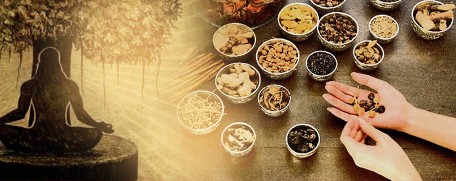 Modern Ayurveda practice with herbs, tablets, and stethoscope on wooden table