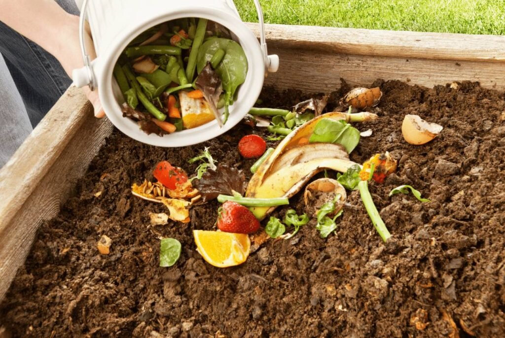 Home composting setup using kitchen waste to reduce pollution