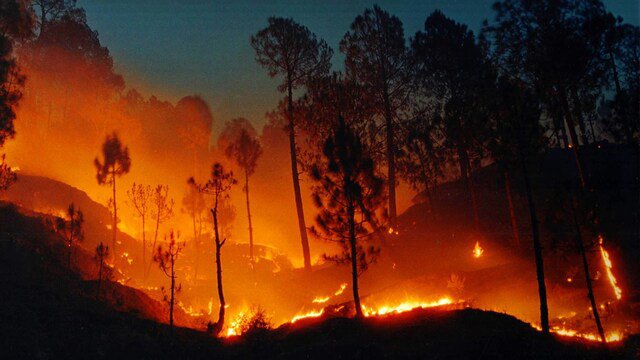 Satellite image showing forest fire hotspots in Arunachal Pradesh
