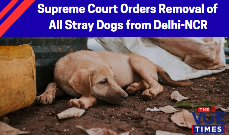 Supreme Court order on stray dogs Delhi NCR