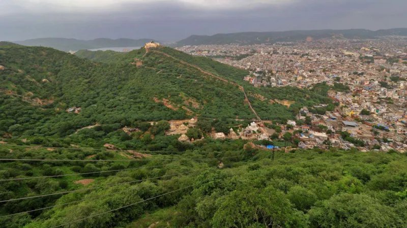 Remaining forest patches in the Aravali Hills acting as natural barriers
